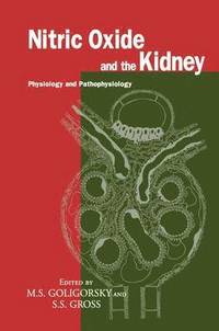 bokomslag Nitric Oxide and the Kidney