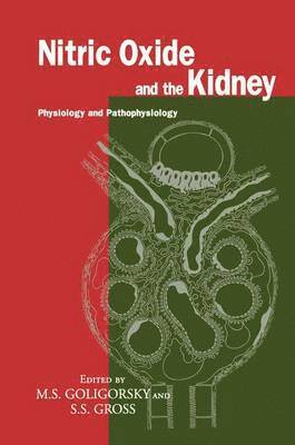 Nitric Oxide and the Kidney 1