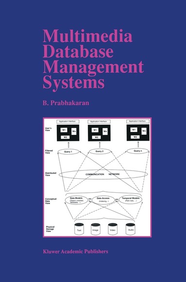 bokomslag Multimedia Database Management Systems