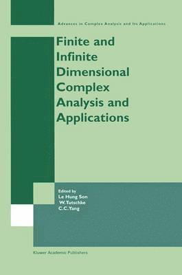 Finite or Infinite Dimensional Complex Analysis and Applications 1