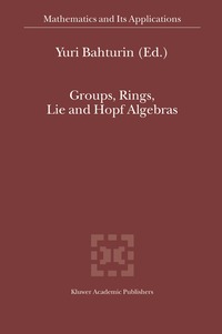 bokomslag Groups, Rings, Lie and Hopf Algebras