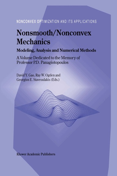 David Yang Gao, Raymond W. Ogden, Georgios E. Stavroulakis - Nonsmooth/Nonconvex Mechanics, Häftad