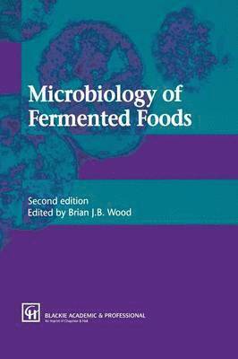 bokomslag Microbiology of Fermented Foods