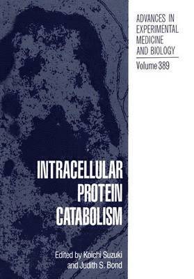 bokomslag Intracellular Protein Catabolism