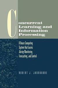 bokomslag Concurrent Learning and Information Processing