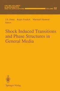 bokomslag Shock Induced Transitions and Phase Structures in General Media