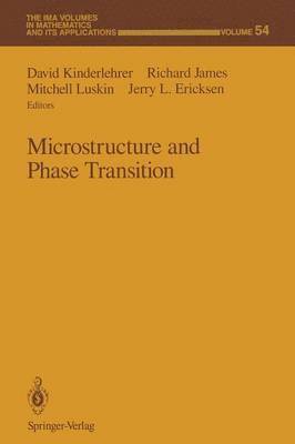 bokomslag Microstructure and Phase Transition