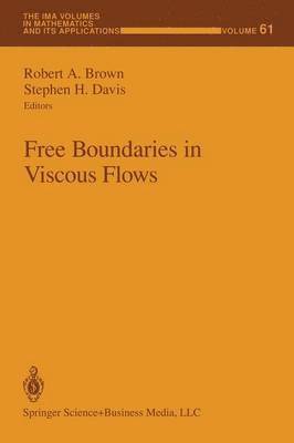 bokomslag Free Boundaries in Viscous Flows