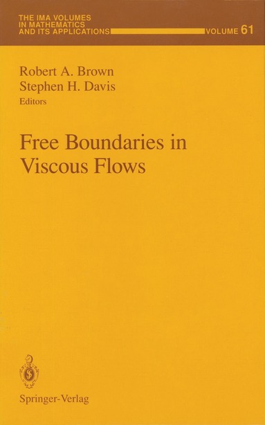 bokomslag Free Boundaries in Viscous Flows