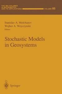 bokomslag Stochastic Models in Geosystems
