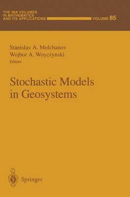 Stochastic Models in Geosystems 1
