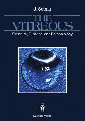 bokomslag Vitreous