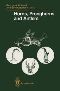 bokomslag Horns, Pronghorns, and Antlers