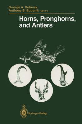 Horns, Pronghorns, and Antlers 1