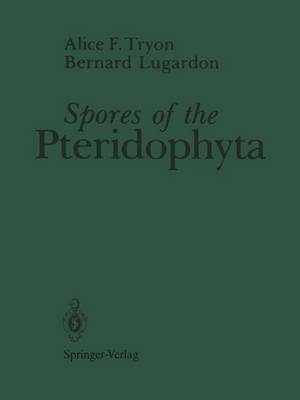 bokomslag Spores of the Pteridophyta
