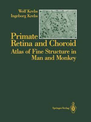 Primate Retina and Choroid 1