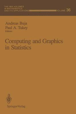 bokomslag Computing and Graphics in Statistics