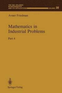 bokomslag Mathematics in Industrial Problems