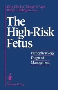 bokomslag The High-Risk Fetus