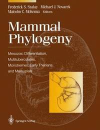 bokomslag Mammal Phylogeny