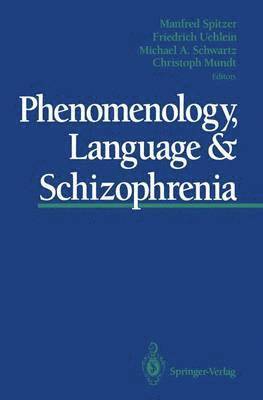 bokomslag Phenomenology, Language & Schizophrenia