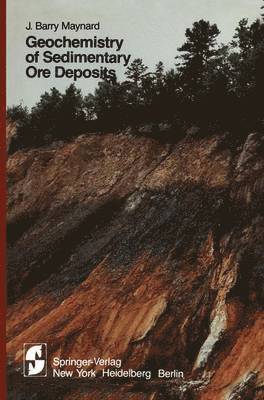 J.B. Maynard, J. B. Maynard - Geochemistry of Sedimentary Ore Deposits, Häftad