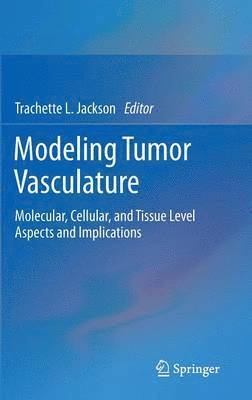 Modeling Tumor Vasculature 1