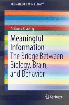 Meaningful Information