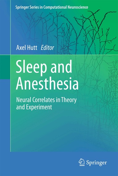 Axel Hutt - Sleep and Anesthesia, Inbunden