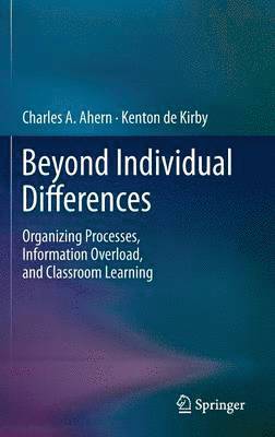 bokomslag Beyond Individual Differences