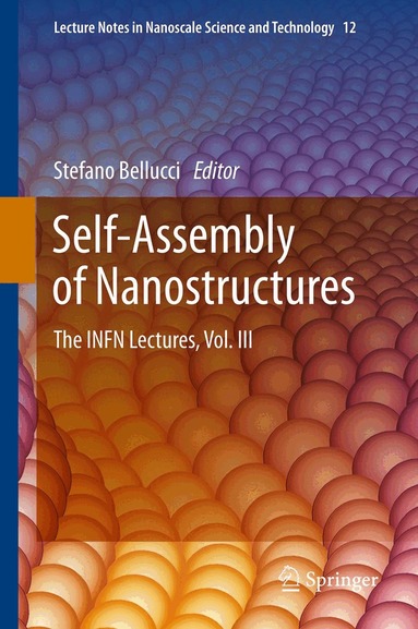 Stefano Bellucci - Self-Assembly of Nanostructures, Inbunden
