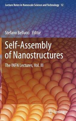 Stefano Bellucci - Self-Assembly of Nanostructures, Inbunden