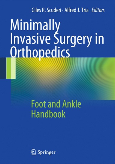 bokomslag Minimally Invasive Surgery in Orthopedics