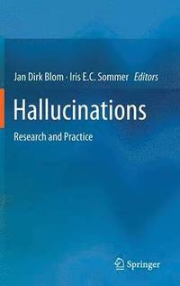 bokomslag Hallucinations
