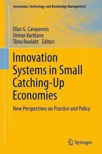bokomslag Innovation Systems in Small Catching-Up Economies