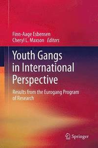 bokomslag Youth Gangs in International Perspective