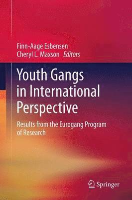 Youth Gangs in International Perspective 1