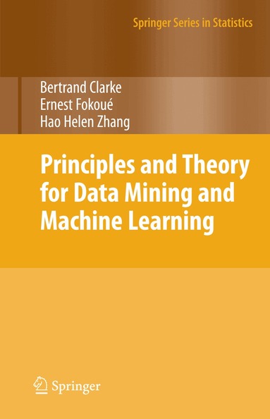 Bertrand Clarke, Ernest Fokoue, Hao Helen Zhang - Principles and Theory for Data Mining and Machine Learning, Häftad