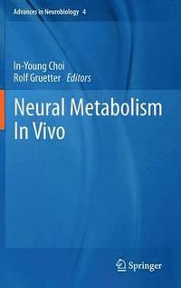 bokomslag Neural Metabolism In Vivo