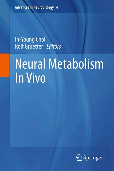 In-Young Choi, Rolf Gruetter - Neural Metabolism In Vivo, Inbunden