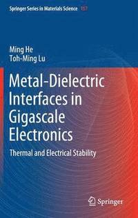 bokomslag Metal-Dielectric Interfaces in Gigascale Electronics