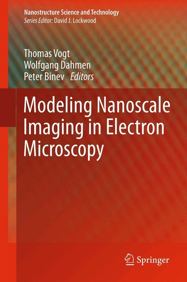 Thomas Vogt, Wolfgang Dahmen, Peter Binev - Modeling Nanoscale Imaging in Electron Microscopy, Inbunden