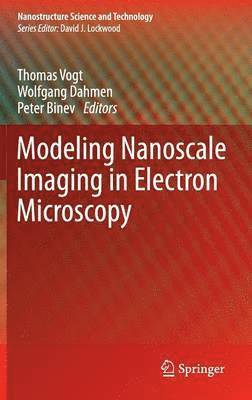 Modeling Nanoscale Imaging in Electron Microscopy 1
