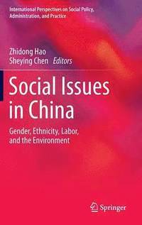 bokomslag Social Issues in China