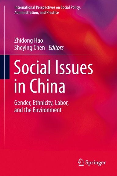 bokomslag Social Issues in China