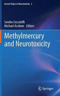 bokomslag Methylmercury and Neurotoxicity