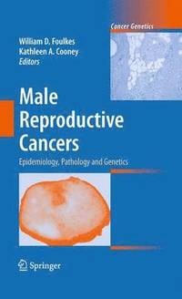 bokomslag Male Reproductive Cancers