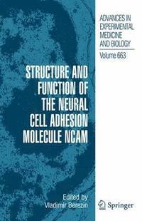 bokomslag Structure and Function of the Neural Cell Adhesion Molecule NCAM