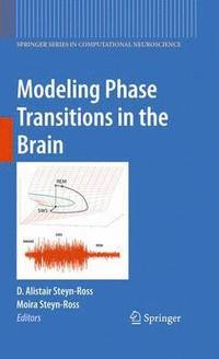 bokomslag Modeling Phase Transitions in the Brain