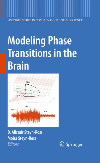 D. Alistair Steyn-Ross, Moira Steyn-Ross - Modeling Phase Transitions in the Brain, Häftad